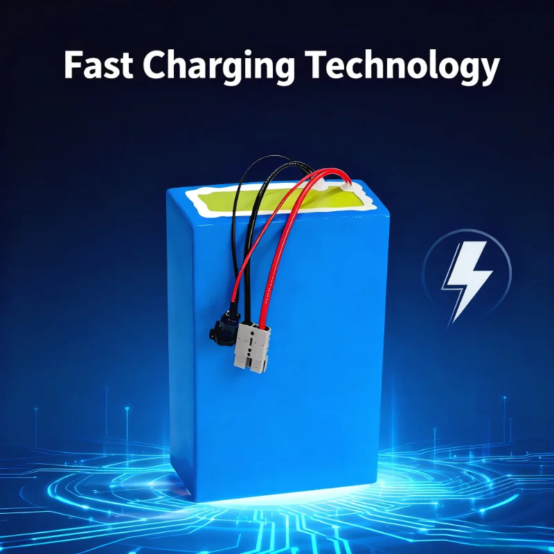 Bateria de íon de lítio BMS 72 - 72V 40Ah Lifepo4 Battery Pack avaliação e preço